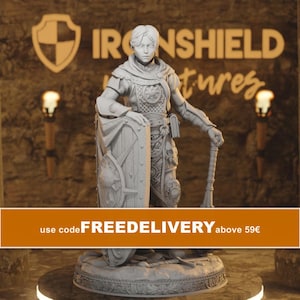 Arkina Knight Cleric Npc Krigare Figur 16k + Bastryck 3D RPG Miniatyr Presentidé mini | Dungeons & Dragons DND Bordsskiva DM Stash