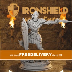 May include: A light gray miniature figurine of a warrior wearing a helmet and armor, holding a shield in one hand and a pointed weapon in the other. The figure stands on a circular base, with the text IRONSHIELD visible in the background.