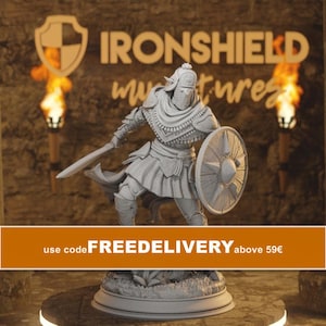 Seroca's Devout Warrior - Round-Shield Elf Fighter Cultist of the Spawn 14k 3D Miniature | Dungeons & Dragons DND Tabletop | DM Stash