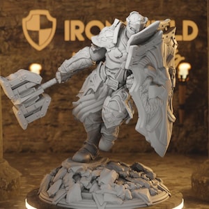 Figura de Clérigo Paladín Escudero de Cardioth + base + impresión ADICIONAL miniatura 3D de 16k | Idea de regalo | Dungeons & Dragons | Juego de mesa | DM Stash