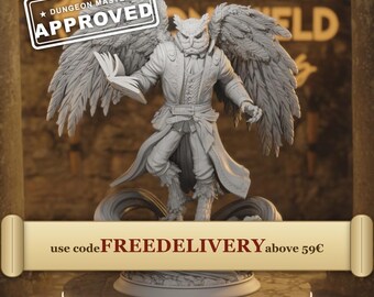 Hoover Brightfeather - Winged Owlfolk Beastfolk Wizard Sorcerer Student of Evo 14k 3D Miniature | Dungeons & Dragons DND Tabletop | DM Stash
