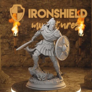 Seroca's Devout Warrior - Round-Shield Elf Fighter Cultist of the Spawn 14k 3D Miniature | Dungeons & Dragons DND Tabletop | DM Stash