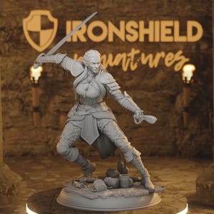 Puede incluir: Figura detallada de una guerrera en pose dinámica, empuñando una espada y una daga. La figura está vestida con armadura y se encuentra sobre una base con accesorios en miniatura. El fondo presenta el texto "IRONSHIELD miniatures".