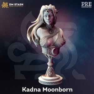 BUSTO - Figura de la Sacerdotisa Lunar Drow - Kadna Glyndrel de 120 mm de alto, impresión 3D, miniatura de 12 quilates, idea de regalo para juegos de mesa de Dungeons and Dragons.