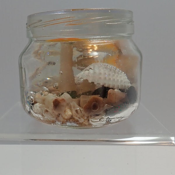 Home decor, resin, tabletop decor, ocean floor, starfish, mushroom, seashells, stones, sand gift