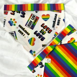 Reversible Snap-On Dog and Cat Bandana: Pride