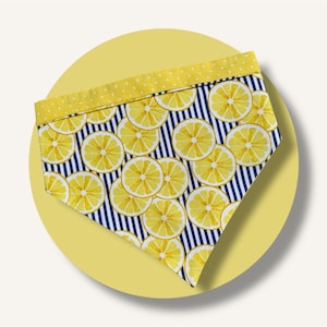 LEMON SLICES Dog and Cat Bandana with Snaps | Fruit | Reversible | Snap On | xxs, xs, s, m, l, xl