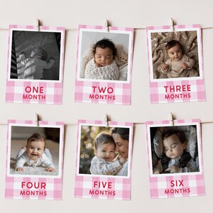 Banner de la foto del primer cumpleaños de Berry, banner de la foto del primer año del bebé, primer cumpleaños de la baya de Gingham rosa, banner de la foto del hito, 1er cumpleaños de la niña, EMM009
