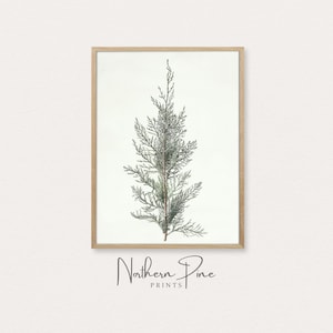 Winter Holiday Print | Nature Wall Art | Country Botanical Branch Decor | Printable Art Download