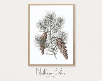 Könnte beinhalten: Eine Aquarell-Illustration eines Kiefern-Zweigs mit zwei Zapfen. Der Zweig ist grün und die Zapfen sind braun. Der Hintergrund ist weiß. Der Text "Northern Pine Prints" befindet sich am unteren Rand des Bildes.