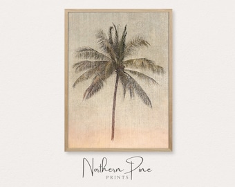 Puede incluir: Una impresión enmarcada de una palmera con un fondo texturizado. La impresión tiene una estética vintage y presenta un marco marrón claro.