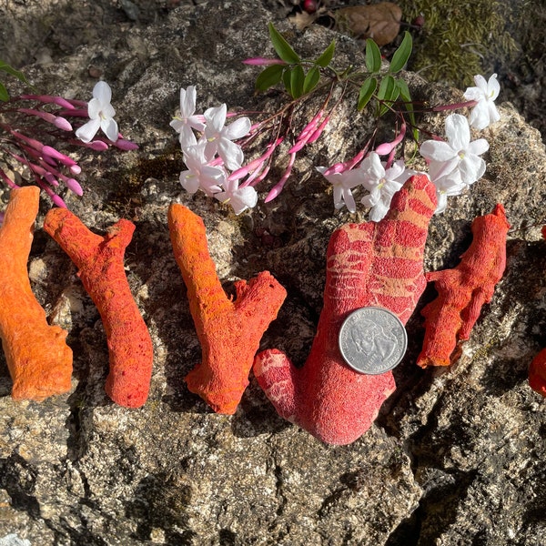 Red Sponge Fossil Coral Stick Raw Specimen