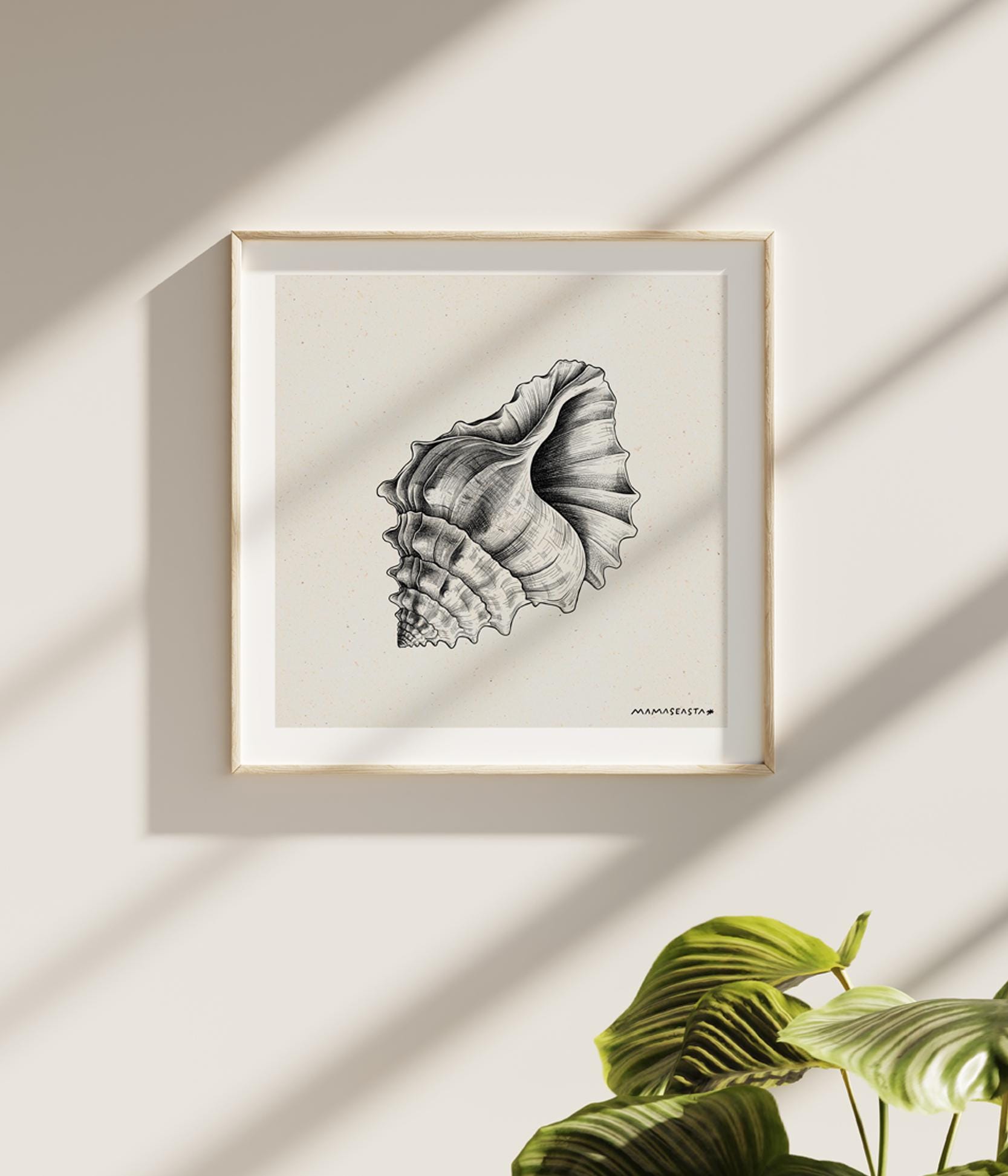 Shell Posster Blue SHELL POSTER - Etsy
