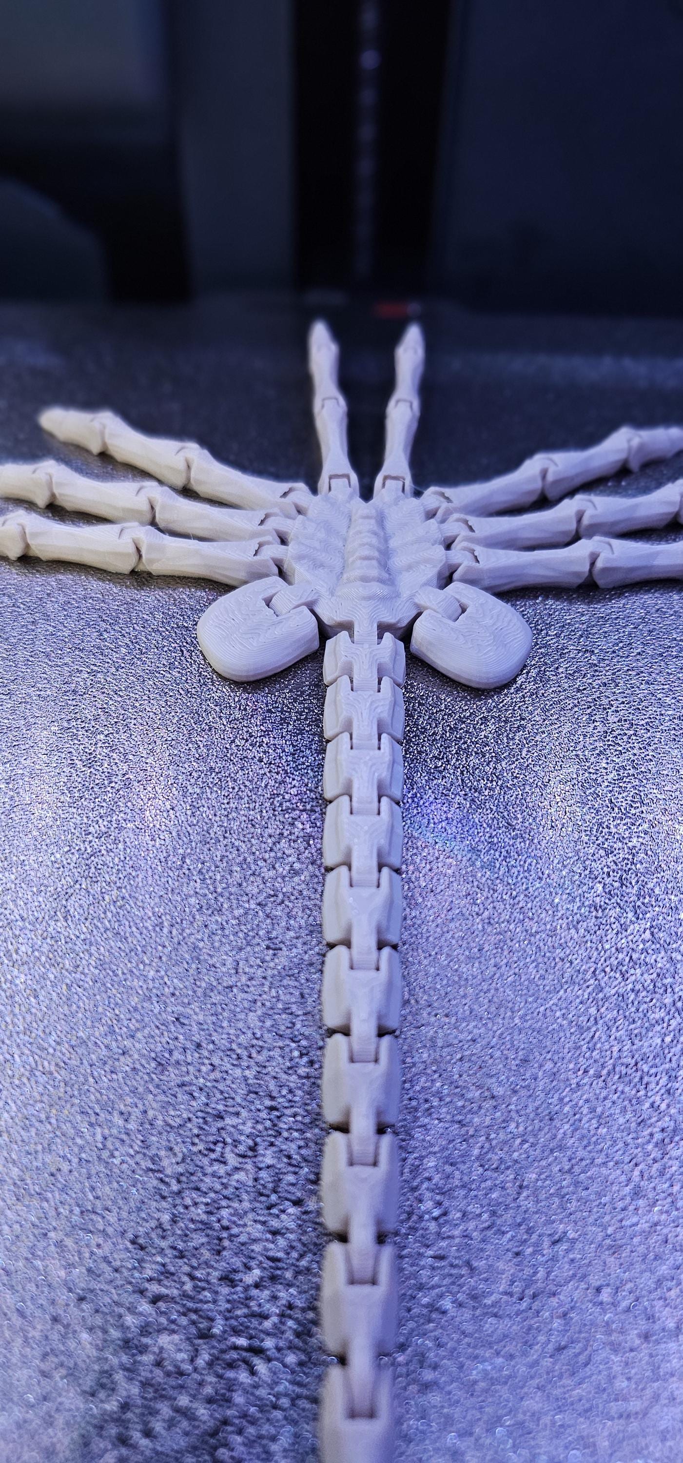 3Dプリントのエイリアンフェイスハガー関節 - Etsy 日本