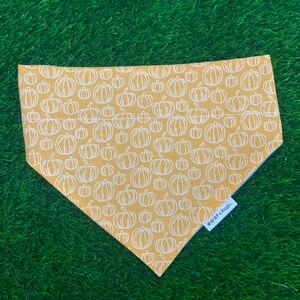 Pumpkin - Dog Bandana