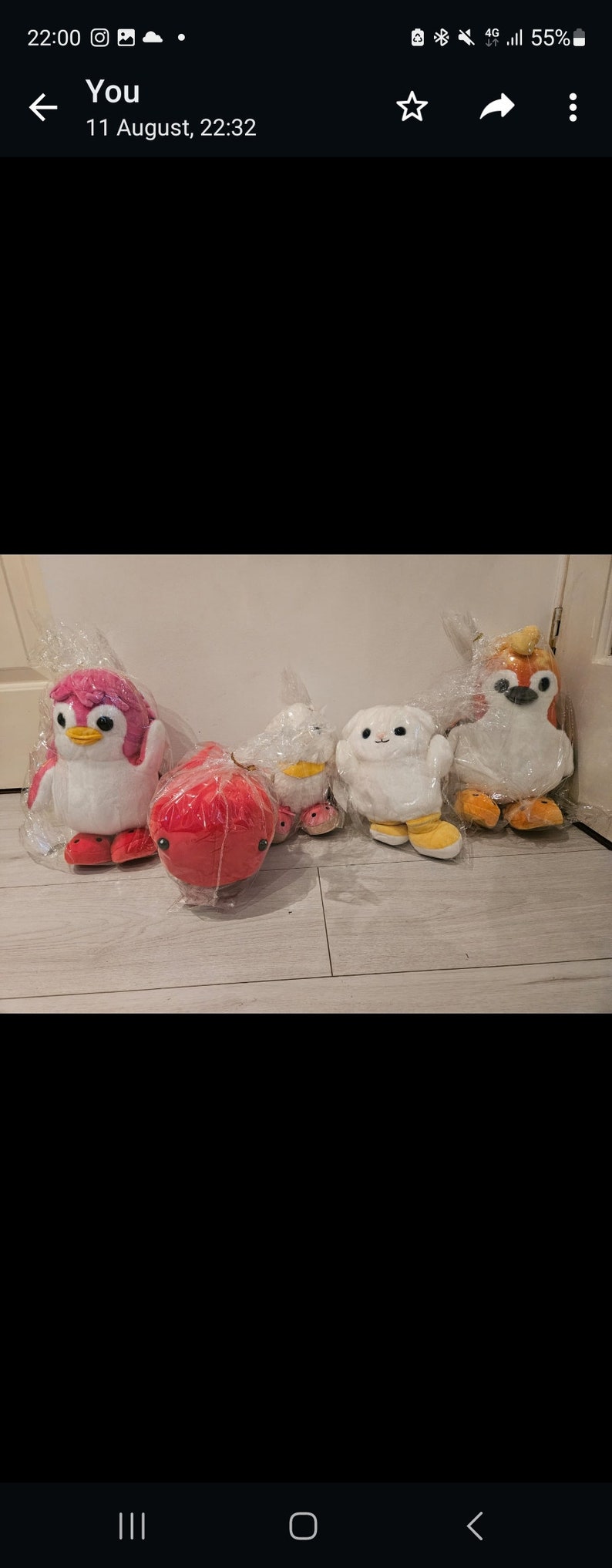 Badanamu Soft Toys image 8