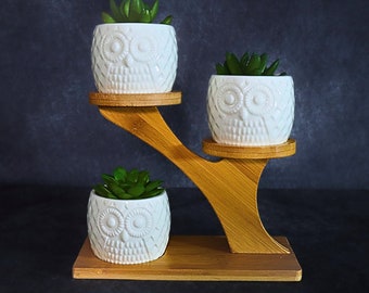 Ceramic Owl Succulent Plant Pots Set with Bamboo Stand - Indoor and Outdoor Planters