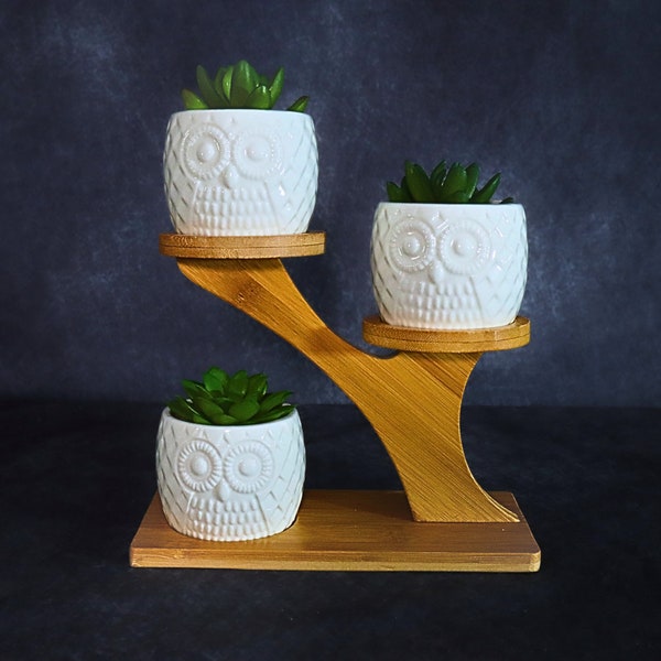 Ceramic Owl Succulent Plant Pots Set with Bamboo Stand - Indoor and Outdoor Planters