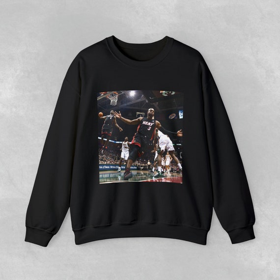 lebron james champion hoodie