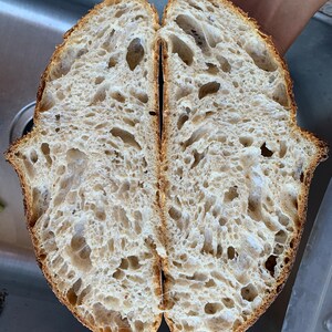 A cross section our our airy sourdough made from our unique kimchee sourdough starter