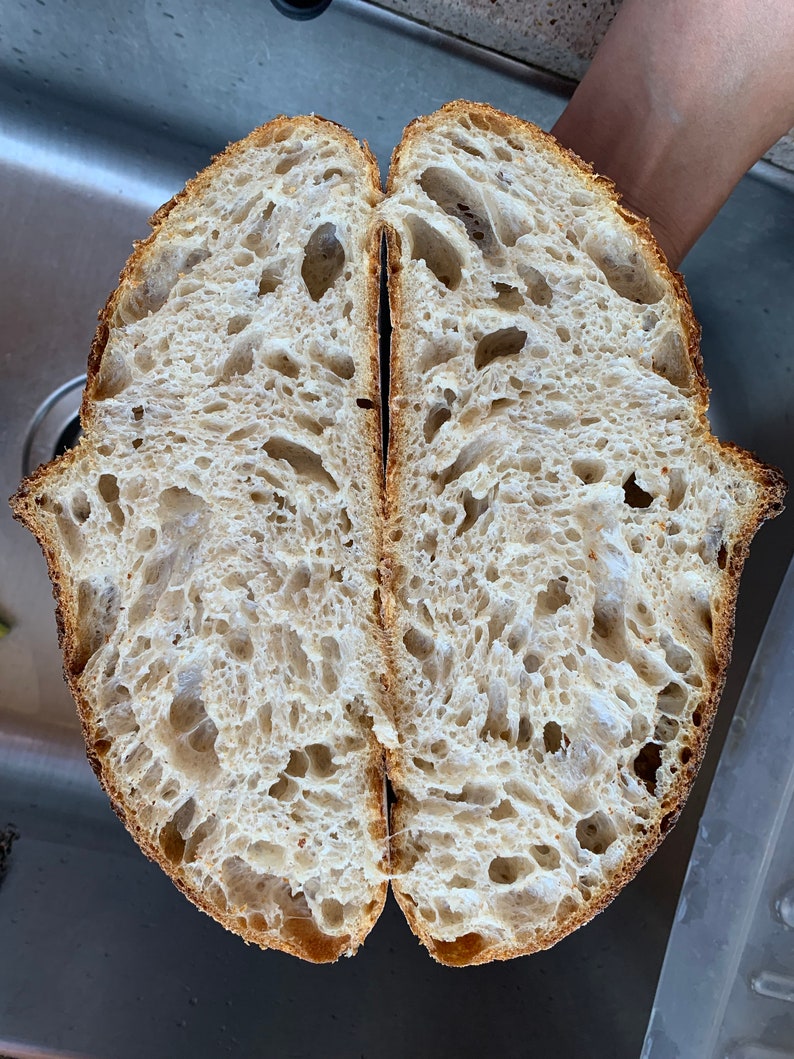 A cross section our our airy sourdough made from our unique kimchee sourdough starter
