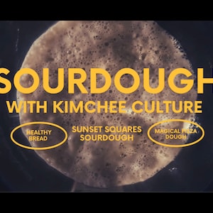 Sourdough made with kimchee culture, image of the bubbly starter feasting on organic flour