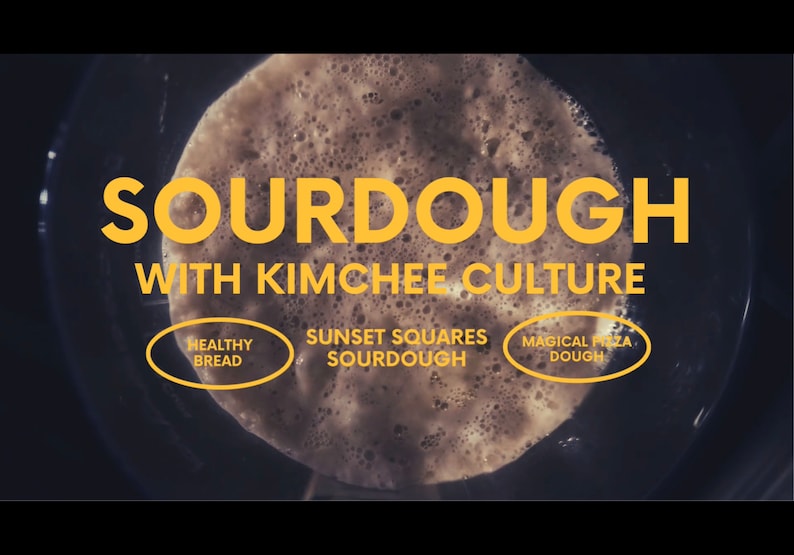 Sourdough made with kimchee culture, image of the bubbly starter feasting on organic flour