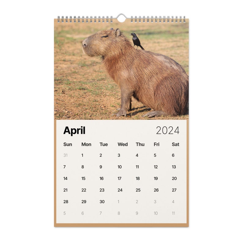Capybara Cute Funny Wall Calendar 2024 Capybara Christmas Etsy