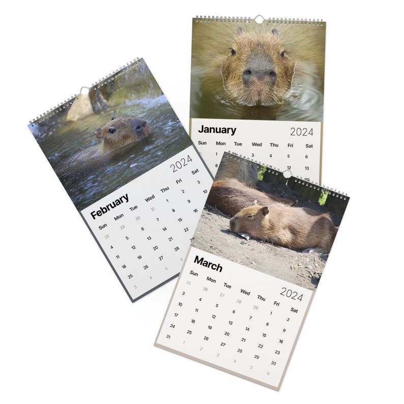 Capybara Cute Funny Wall Calendar 2024 Capybara Christmas Etsy