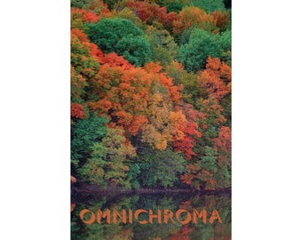 OMNICHROMA - 12" x 18" Poster