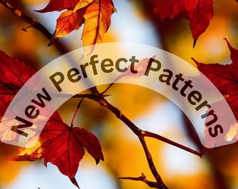 Autumn Leave right in focus