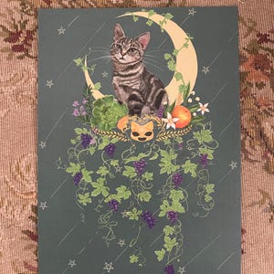 Postcard- Dream catching of A cat from the Garden