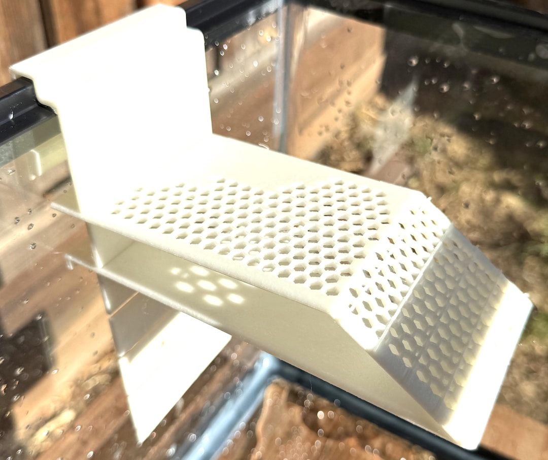 Glow-in-the-dark Turtle Basking Platform Ramp for 10–20 Gallon Tanks ...