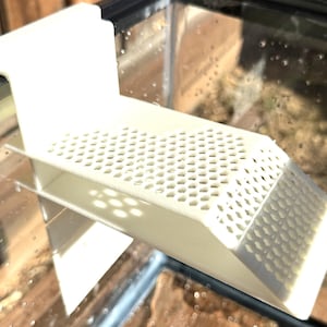 May include: A cream-colored, plastic reptile ramp with a perforated surface and a lip to attach to the side of a terrarium. The ramp has a sloped design for easy access.