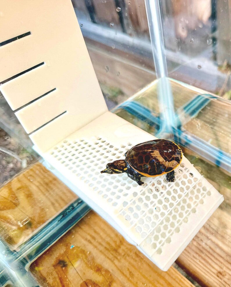 Glow-in-the-dark Turtle Basking Platform Ramp for 10–20 Gallon Tanks ...