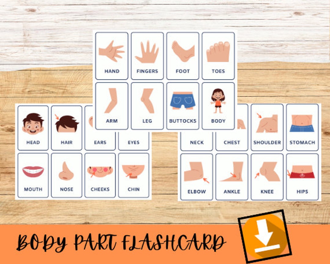 Body Part Flashcards &amp; Printable Flash Card Bundle Printable - Etsy