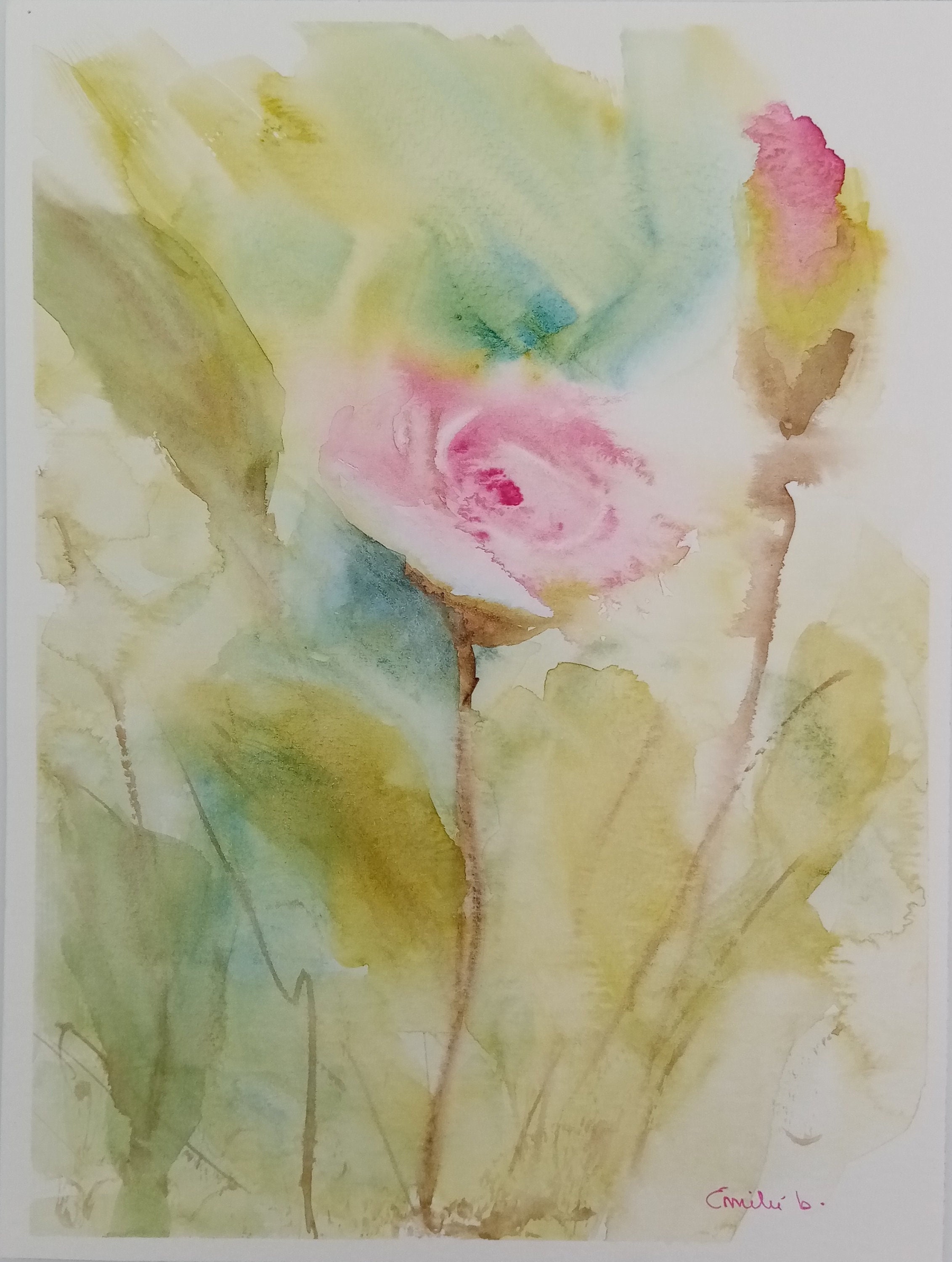 Columbus Queen Light Pink Rosebud, Original Botanical Watercolor