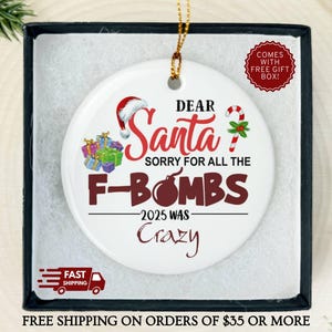 Sorry Santa For All The F-Bombs 2024 Was Crazy Funny Christmas Ornament, Gag Gift, Funny Ornament, Tree Decor, Funny Christmas Gift