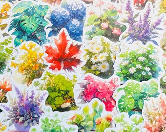 5-50pcs Colorful Flowers Stickers (3) Watercolor Flowers Sticker Pack Gift Journaling Stickers for your Planner