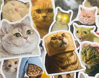 5-50st Meme Cat Stickers (1) Kawaii Grappig Cadeau Waterdichte Stickers Stickers voor motorfiets, laptop, bagage, waterfles, skateboard