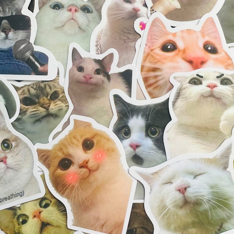 May include: A collection of cat stickers featuring various cat breeds and expressions. The stickers are printed on white paper and have a glossy finish.