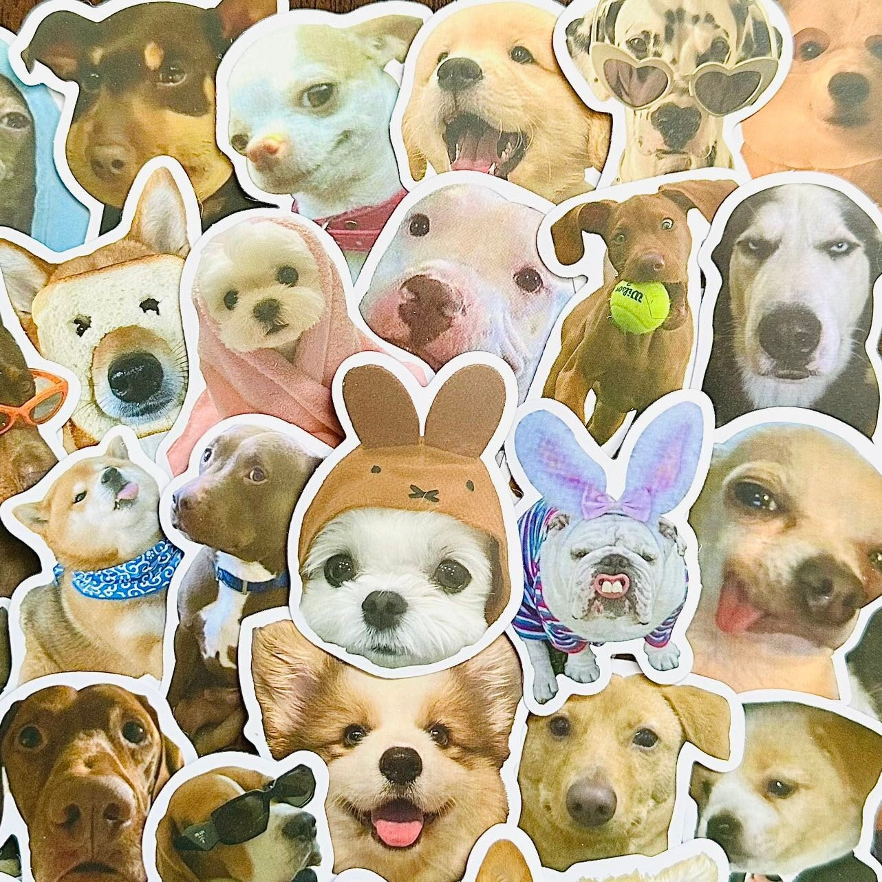 Mistree 50 Stücke 3d Aufkleber Hund, Sticker Lustig Hund