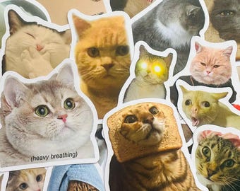 Zestaw 50 zabawnych naklejek z kotami (1) Kawaii Meme Gift Wodoodporne naklejki na motocykl, laptopa, bagaż, butelkę z wodą