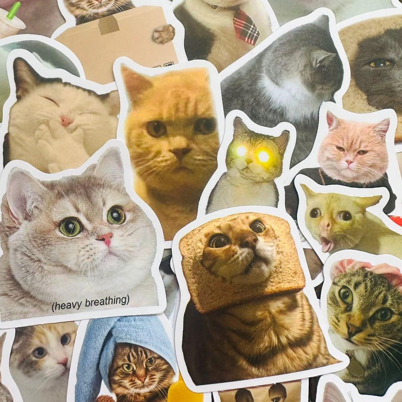 May include: A collection of cat stickers featuring various cat breeds and expressions. The stickers include a cat with a bread slice on its head, a cat with glowing eyes, a cat with a surprised expression, and a cat with a heavy breathing caption.