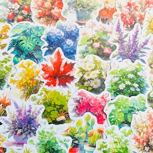 50 adesivos de flores coloridas (3) Pacote de adesivos de flores em aquarela Adesivos de diário de presente para seu planejador