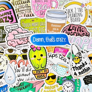 50 Funny Sarcastic Stickers (2) Sarcasm Quote Adult Jokes Sticker Pack, Aesthetic Vinyl Waterproof Stickers for Laptop Phone Luggage