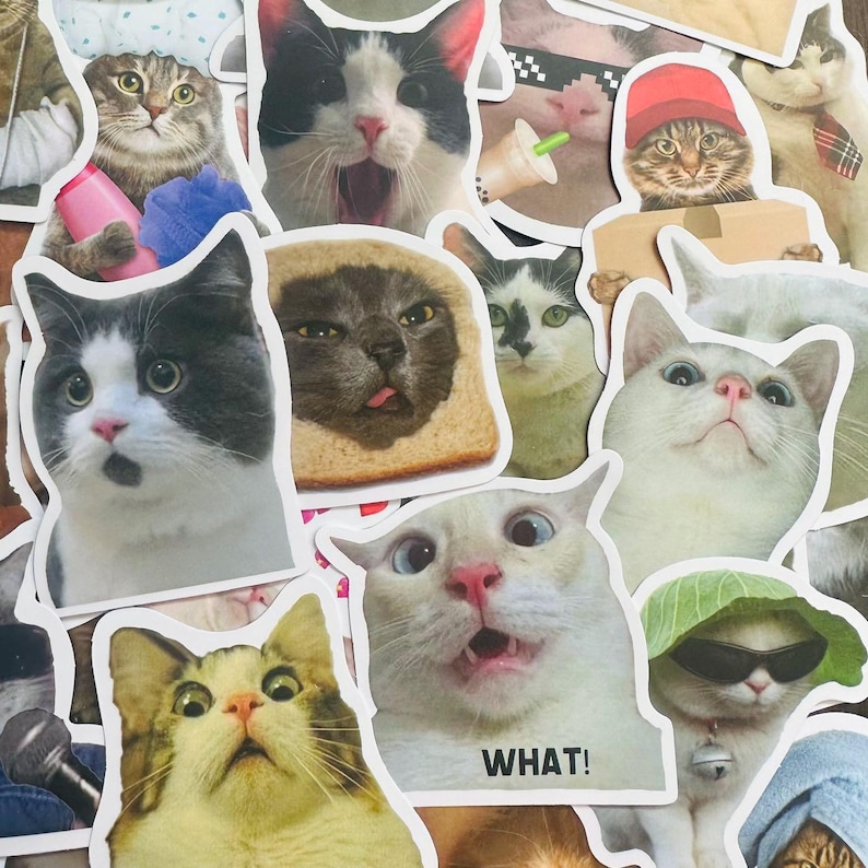 May include: A collection of colorful cat stickers with various expressions, including a cat wearing a chef's hat, a cat with a surprised expression, and a cat wearing sunglasses. The stickers are printed on white paper and have a glossy finish.