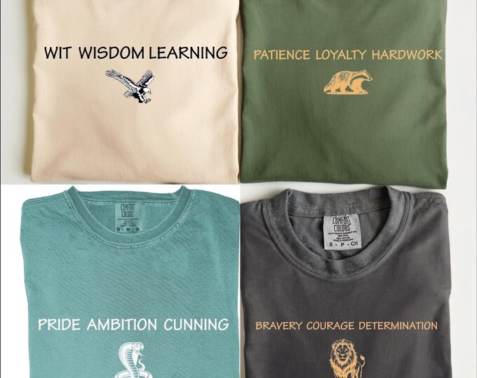 Wizarding School House Shirt, Wizarding House Shirt, Universal Vacation T-Shirt, Wizard World Gift, Vintage Wizard Houses, Universal Studios