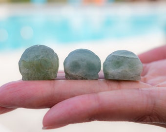 Anxiety Buddies Têtes de mort aigue-marine