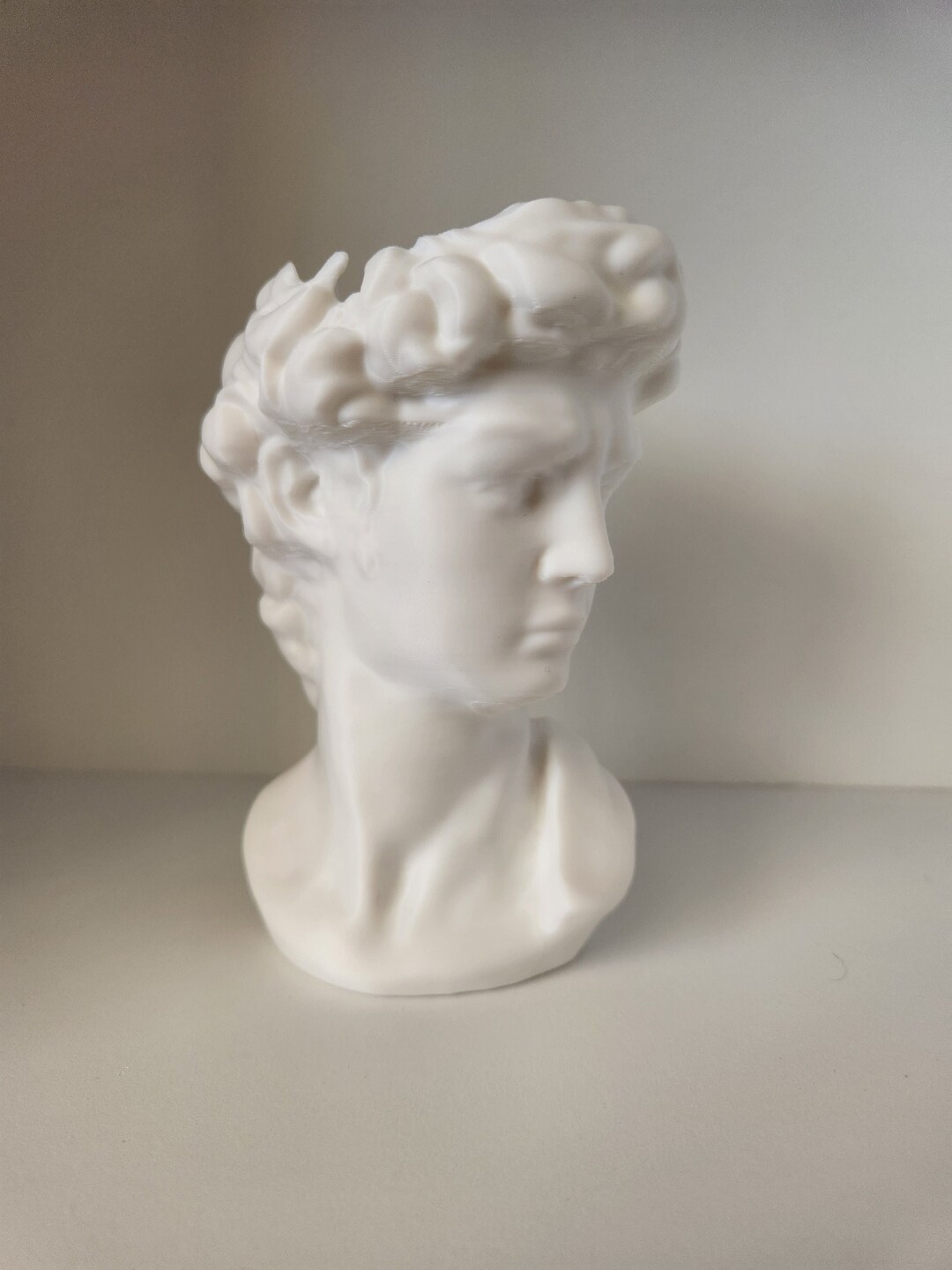 Statue of David Planter Etsy